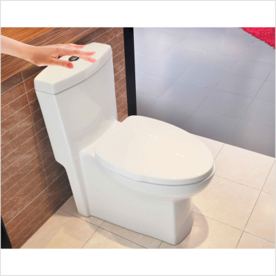 揮動式馬桶解決方案